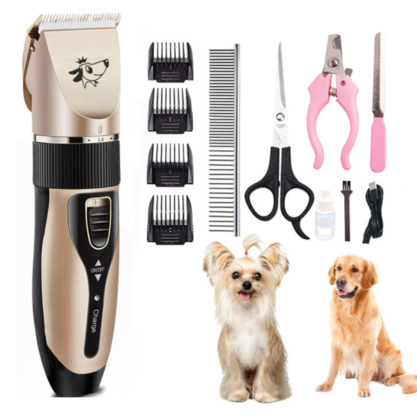 Bạn cần chuẩn bị dụng cụ đầy đủ để cắt tỉa lông thú cưng tại nhà